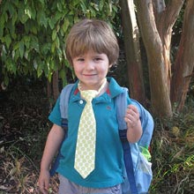 天天陪着您的怎么去攻击一个网站与防护